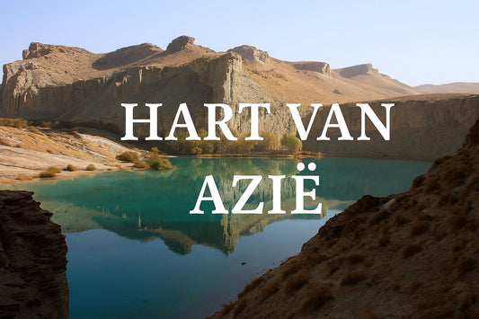 Hart van Azië – Gedrukte versie